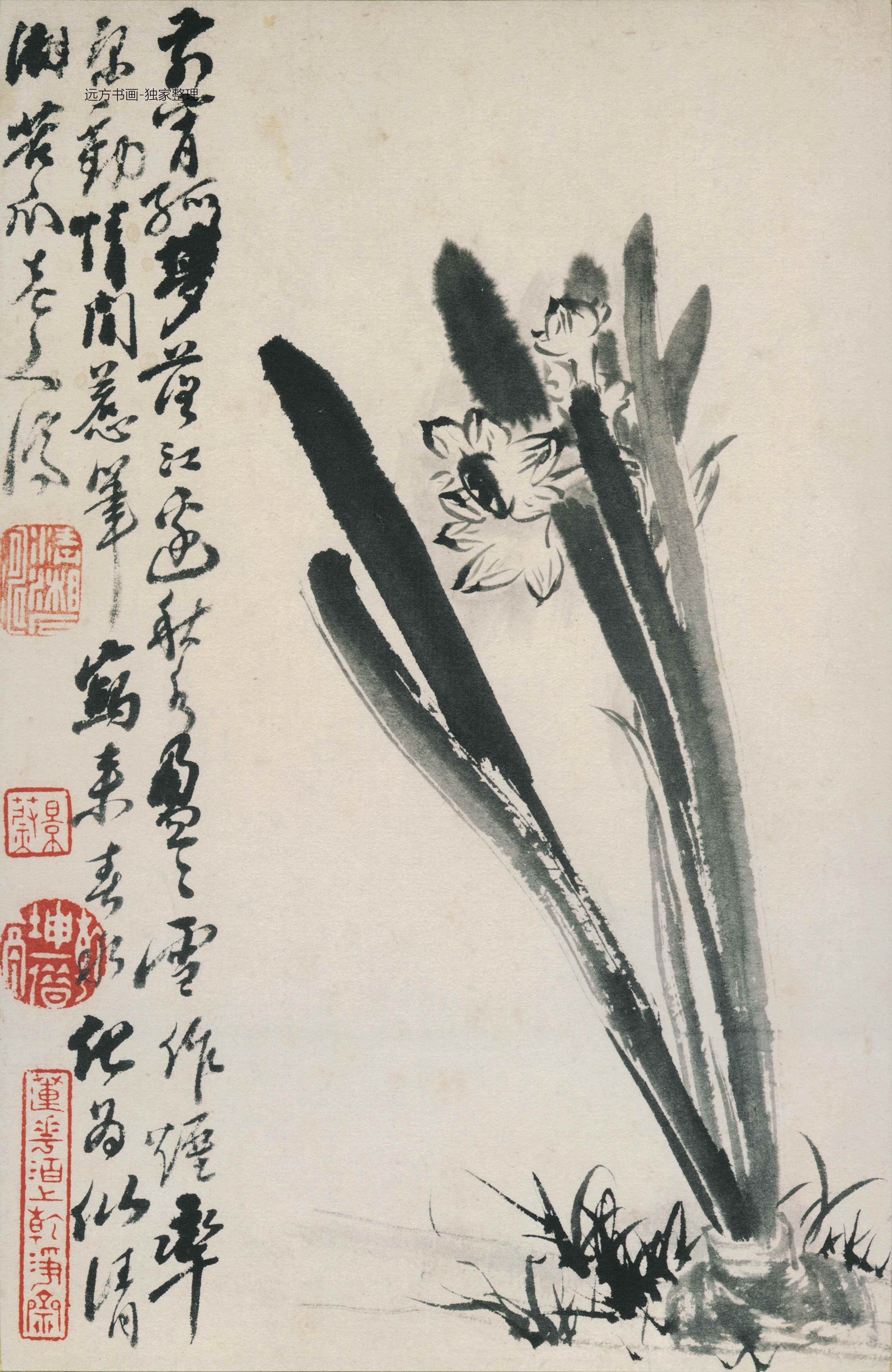 清朝代【石涛】《花鸟图册12开》TIF高清大图中国画古画素材下载