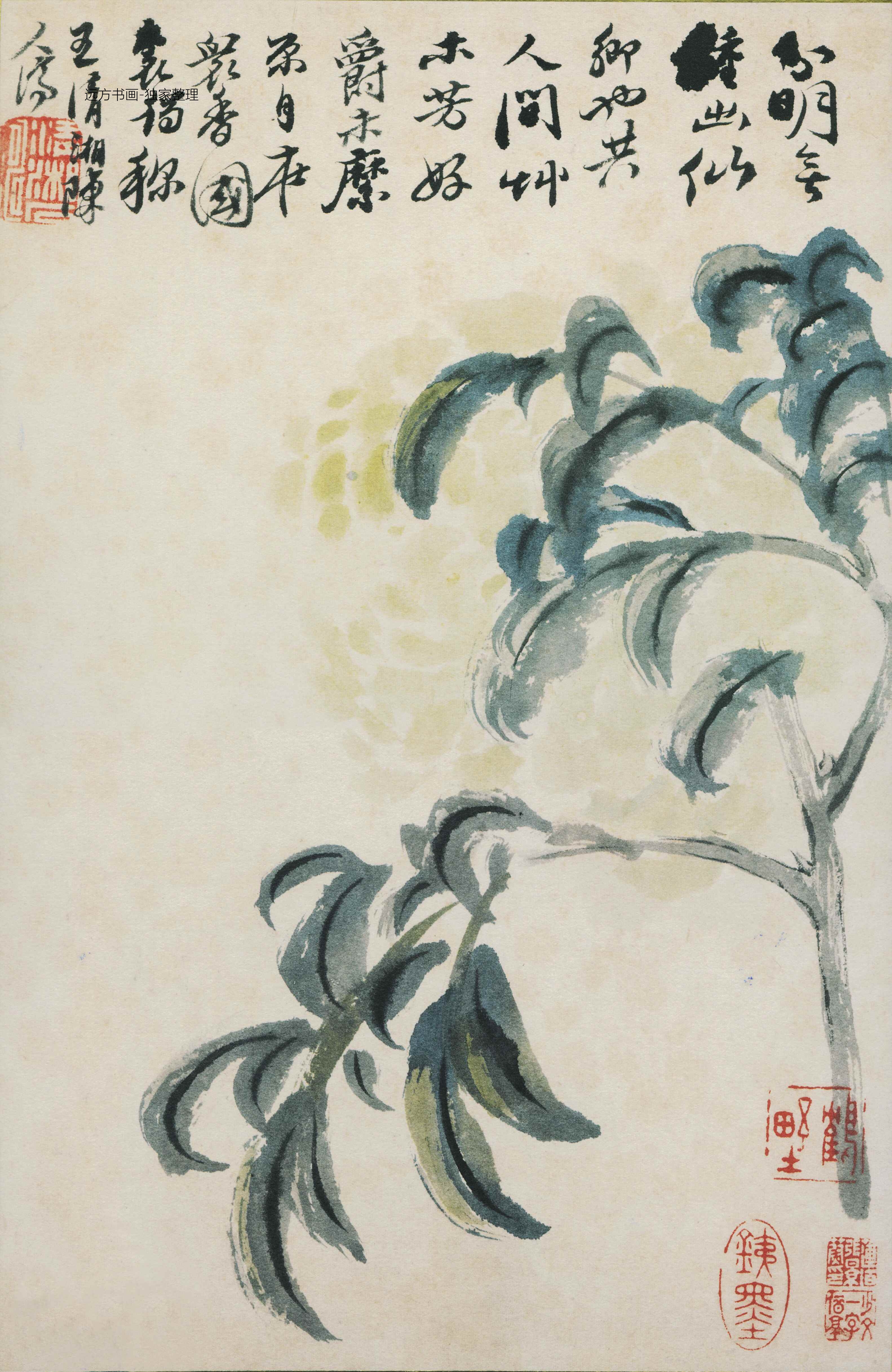 清朝代【石涛】《花鸟图册12开》TIF高清大图中国画古画素材下载