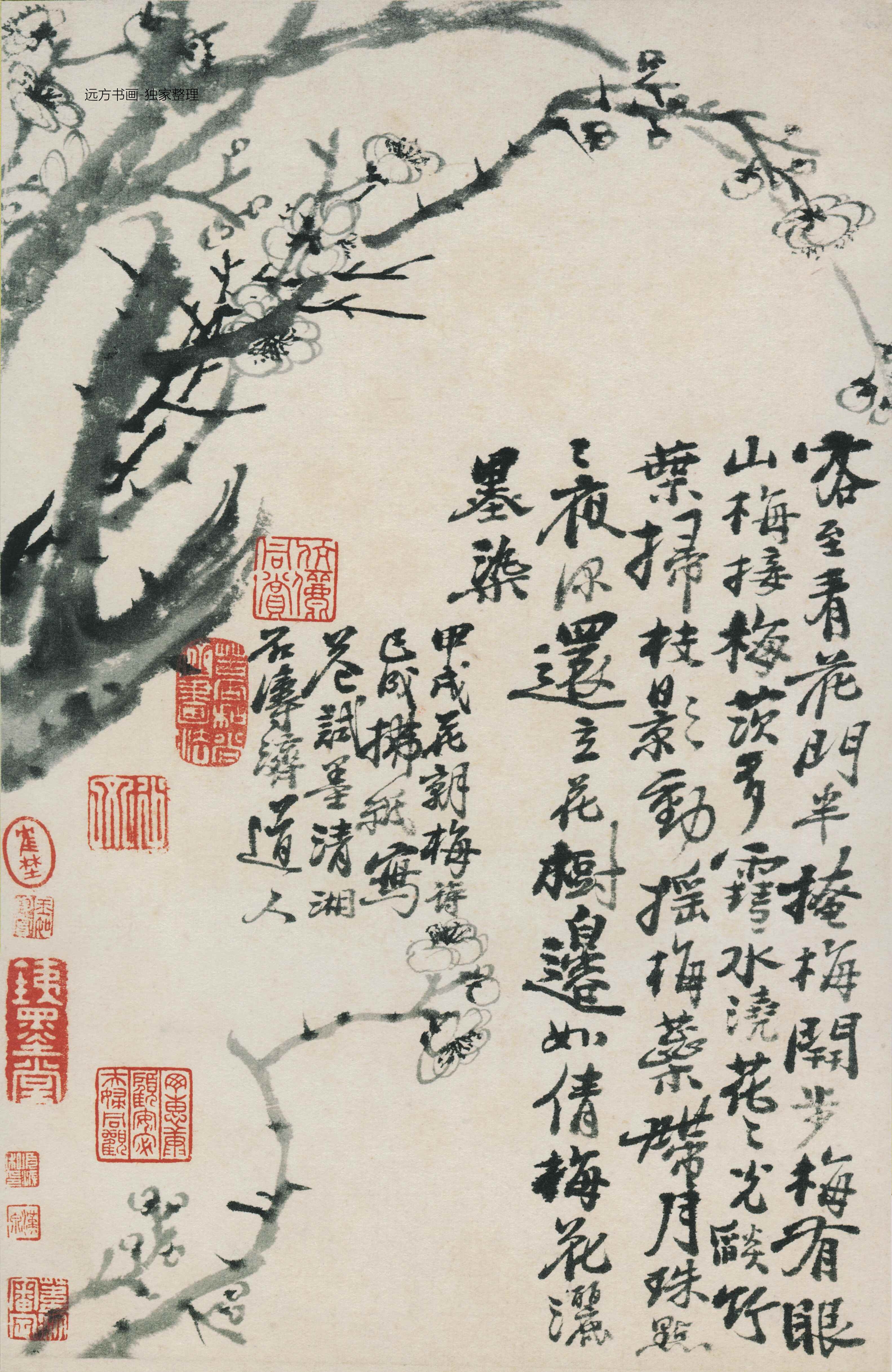 清朝代【石涛】《花鸟图册12开》TIF高清大图中国画古画素材下载
