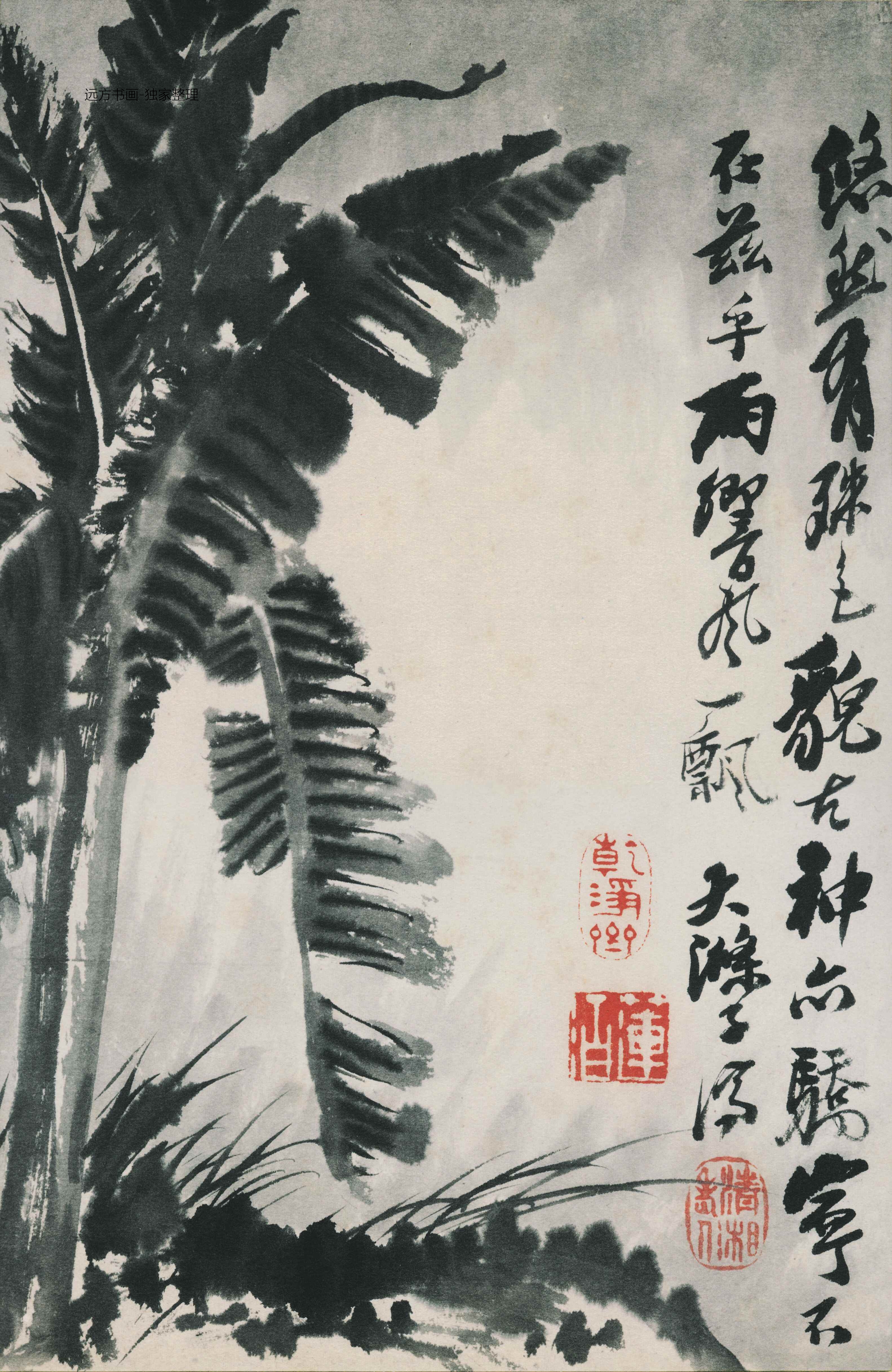 清朝代【石涛】《花鸟图册12开》TIF高清大图中国画古画素材下载