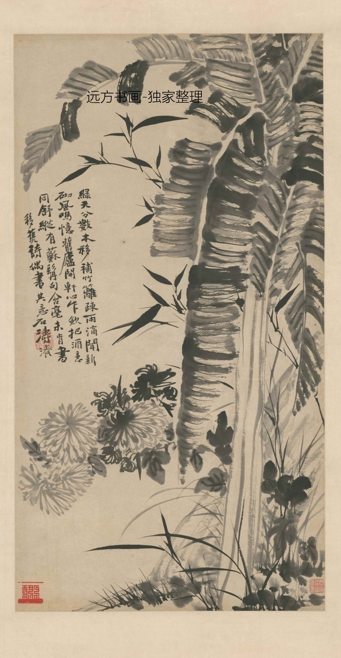 清朝代【石涛】《蕉菊图轴》TIF高清大图中国画古画素材下载