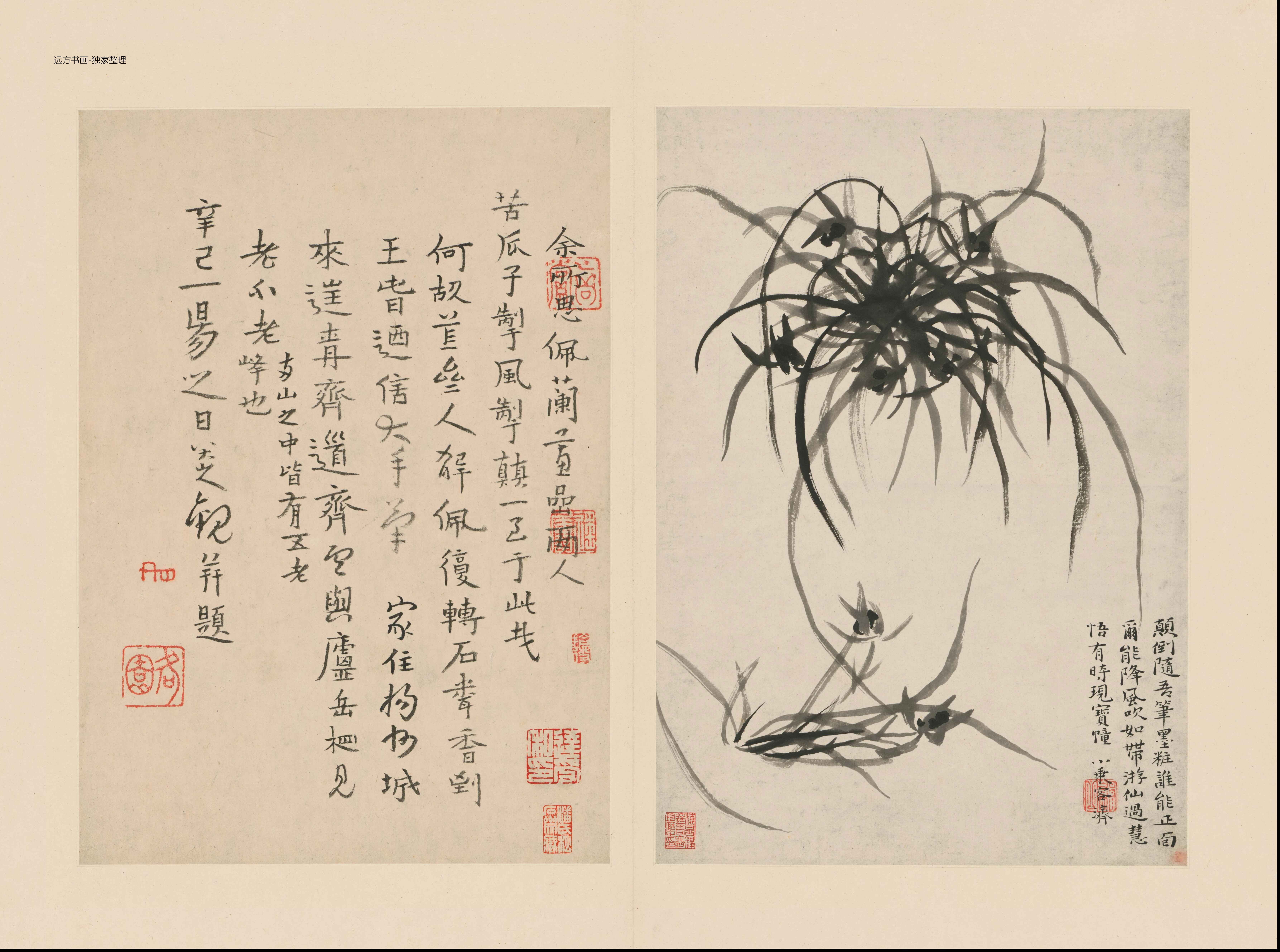 清朝代【石涛】《兰竹册（18开）》TIF高清大图中国画古画素材下载