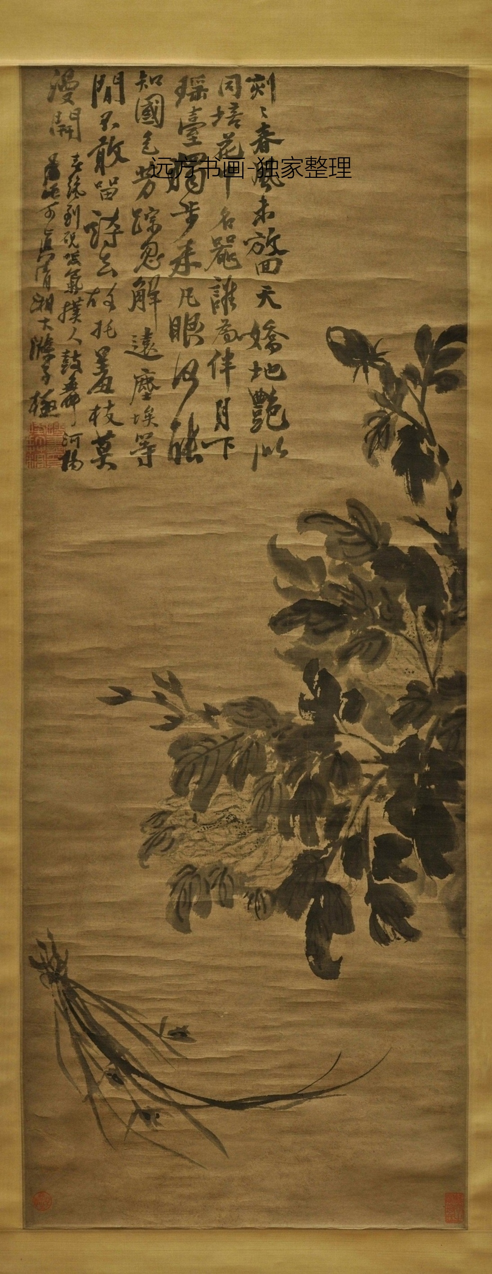 清朝代【石涛】《牡丹兰花图》TIF高清大图中国画古画素材下载