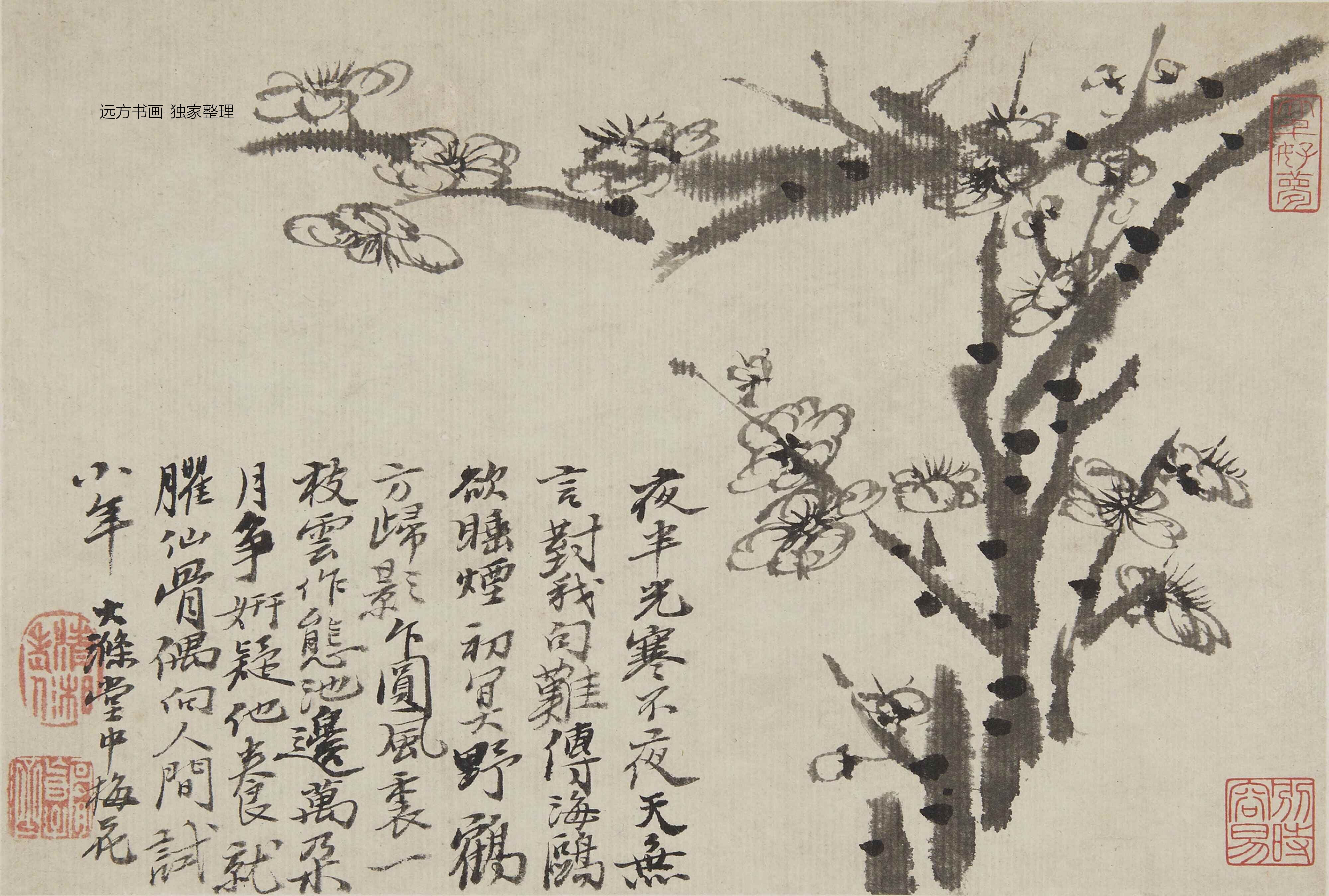 清朝代【石涛】《梅花图册8帧（8开）》TIF高清大图中国画古画素材下载
