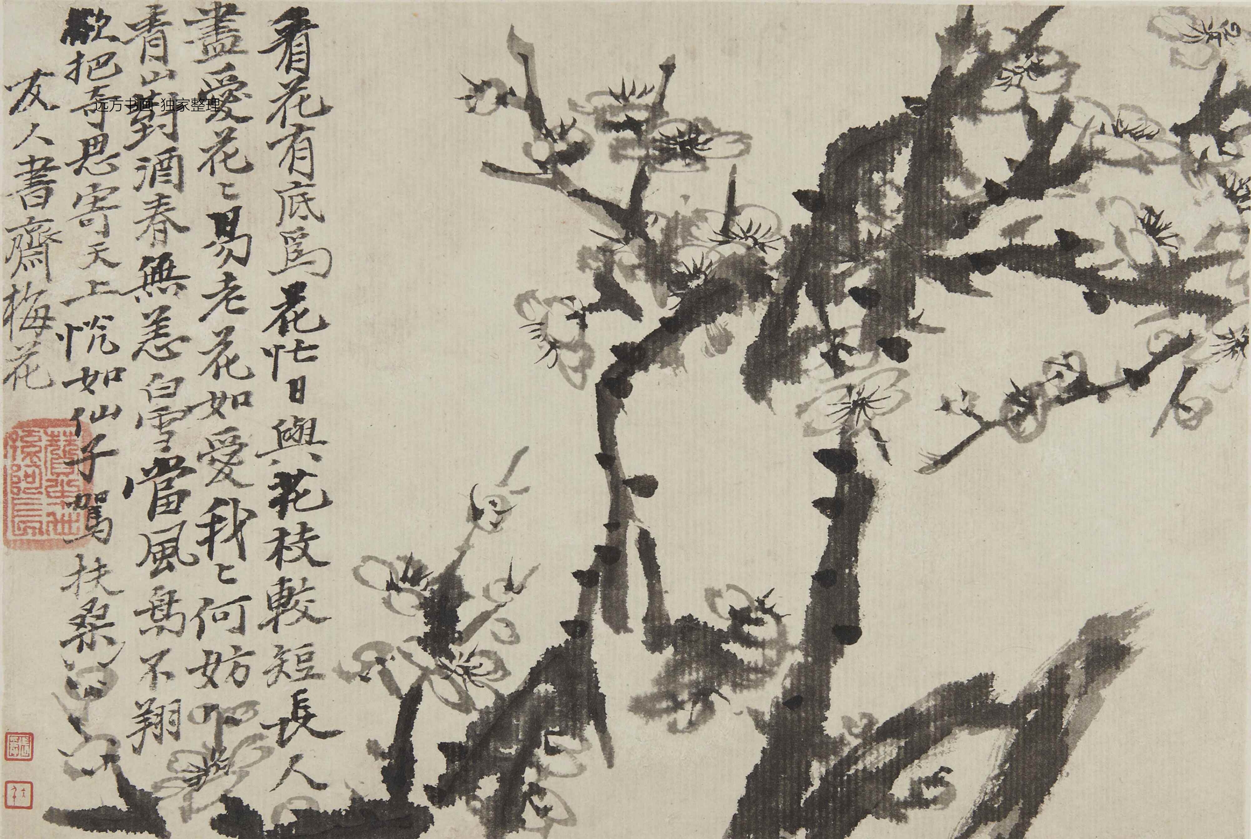 清朝代【石涛】《梅花图册8帧（8开）》TIF高清大图中国画古画素材下载