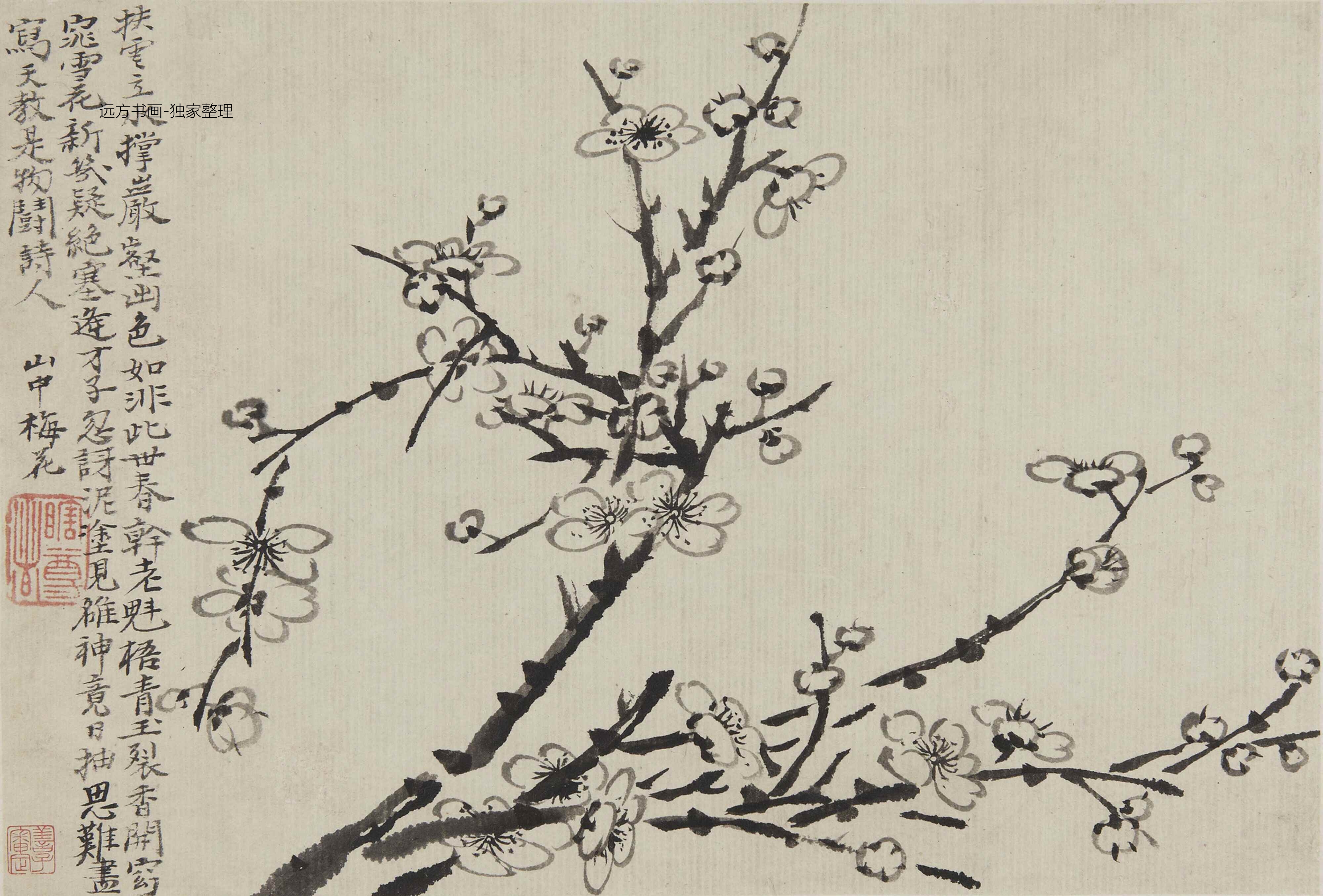清朝代【石涛】《梅花图册8帧（8开）》TIF高清大图中国画古画素材下载