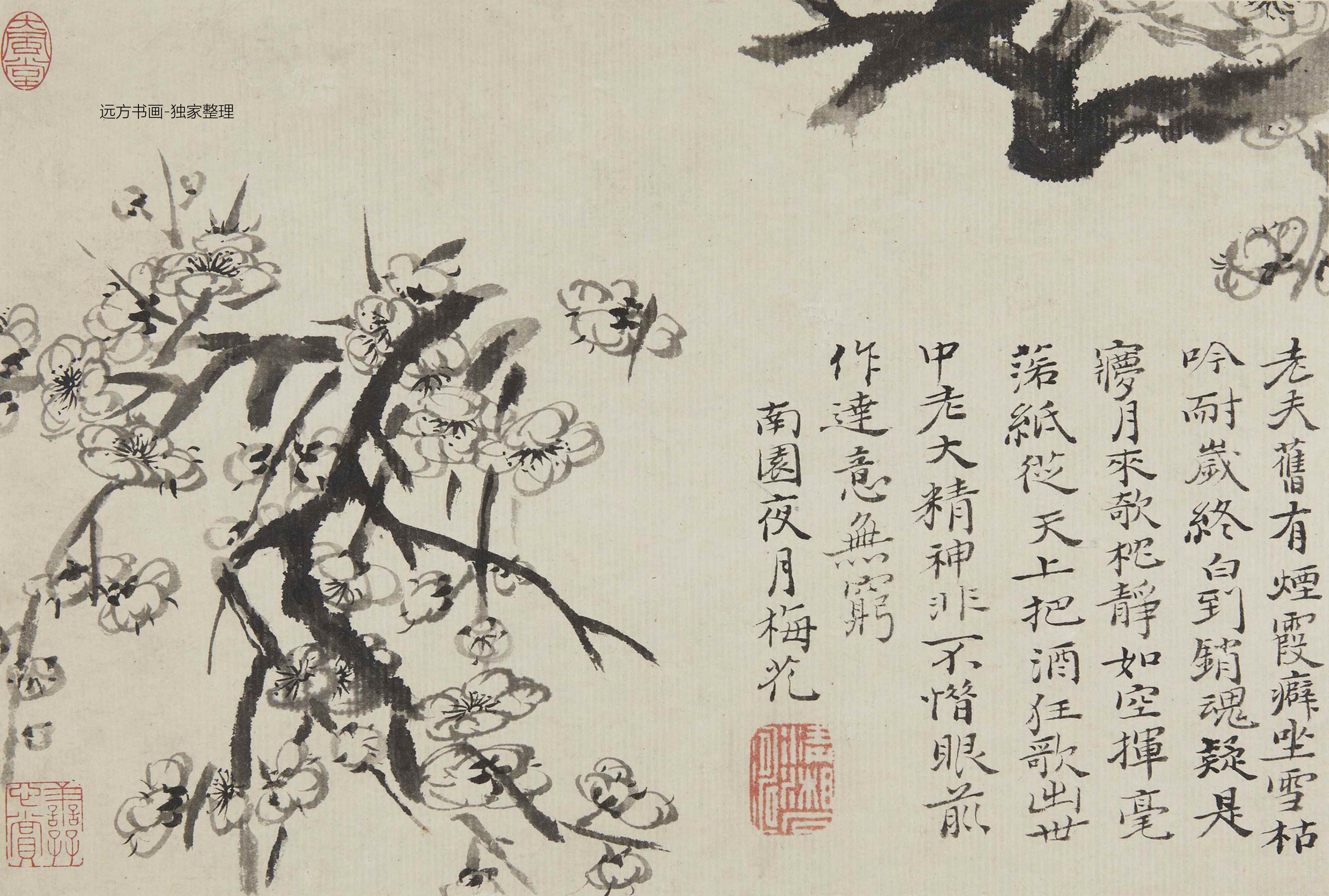 清朝代【石涛】《梅花图册8帧（8开）》TIF高清大图中国画古画素材下载