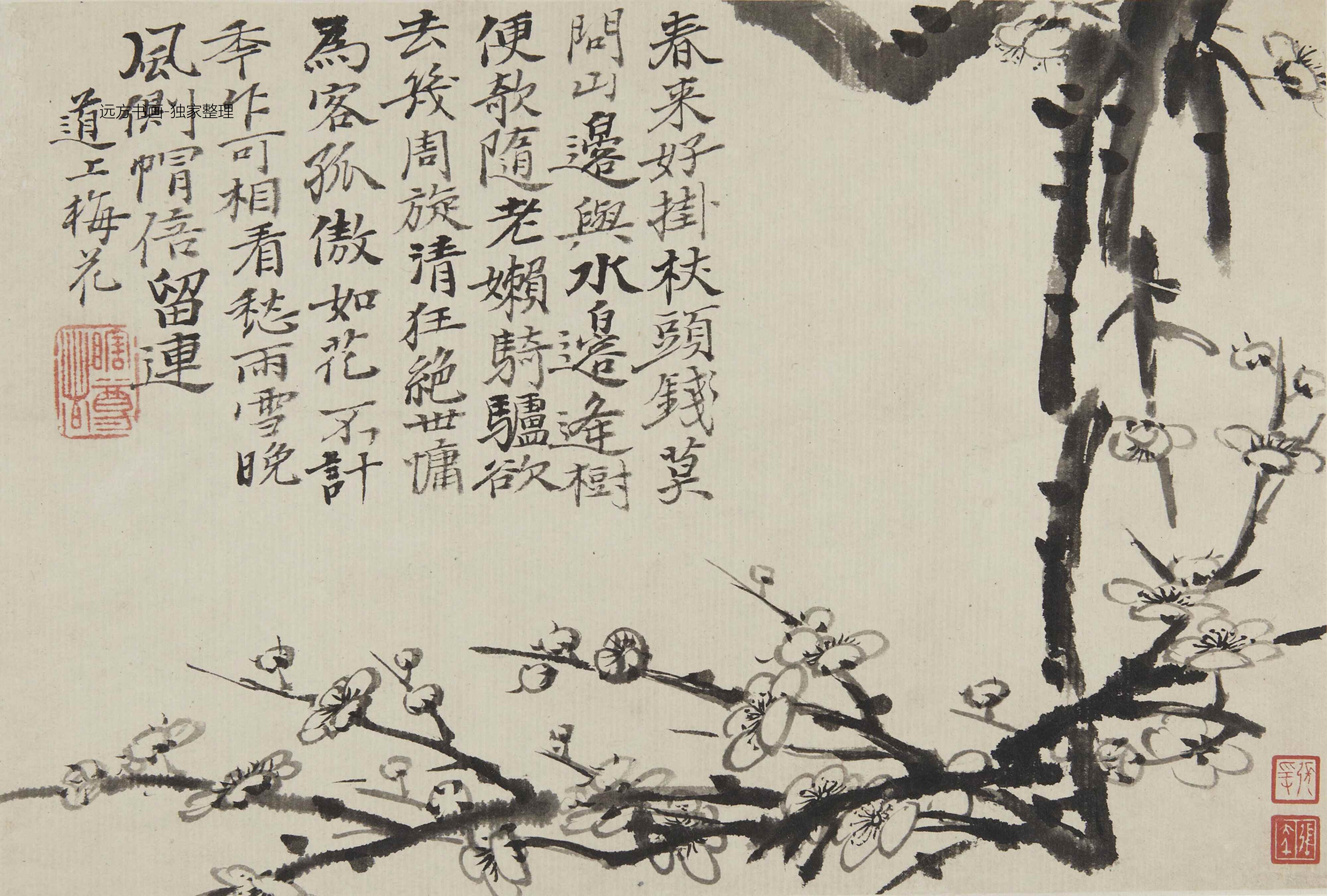 清朝代【石涛】《梅花图册8帧（8开）》TIF高清大图中国画古画素材下载