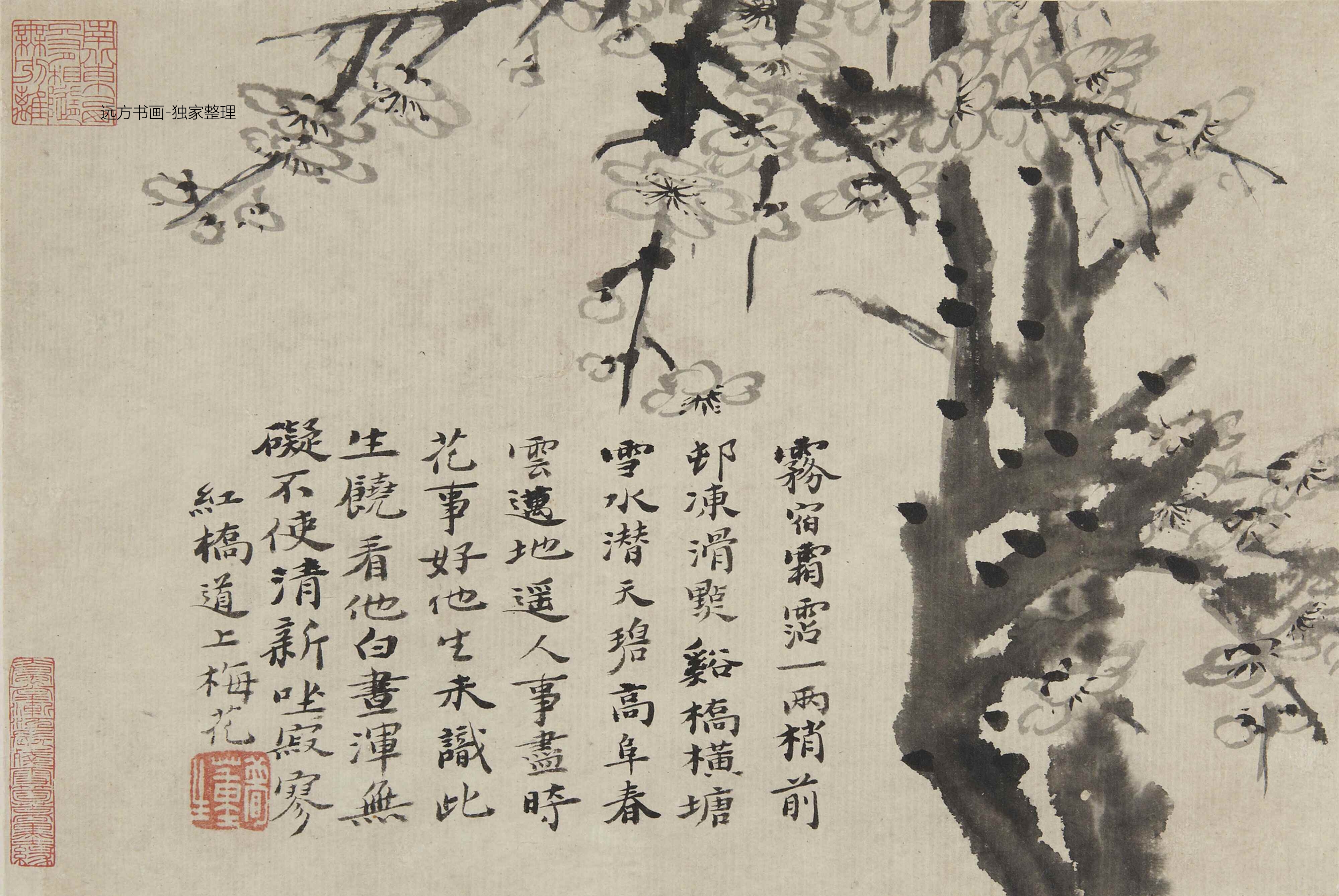 清朝代【石涛】《梅花图册8帧（8开）》TIF高清大图中国画古画素材下载