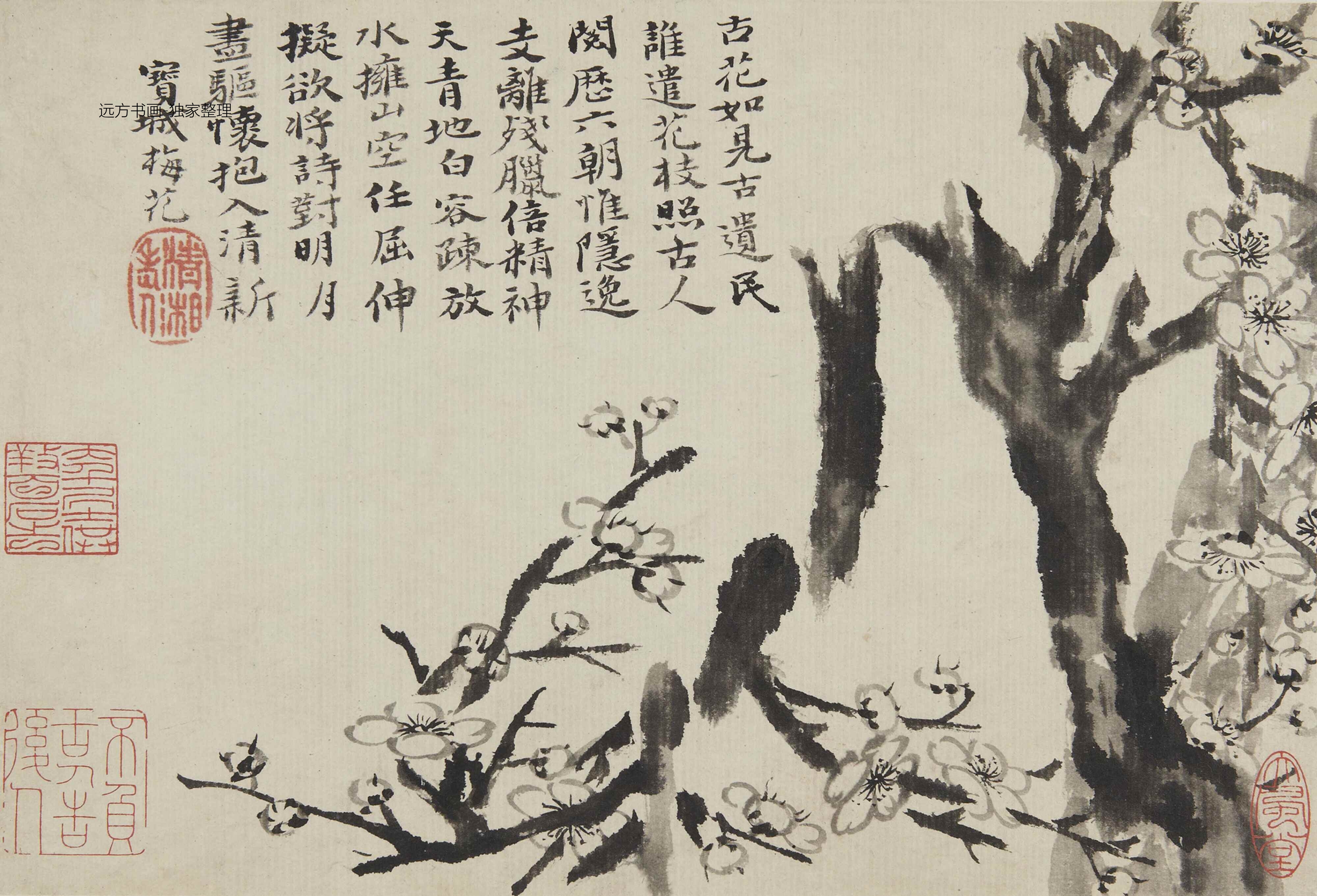 清朝代【石涛】《梅花图册8帧（8开）》TIF高清大图中国画古画素材下载