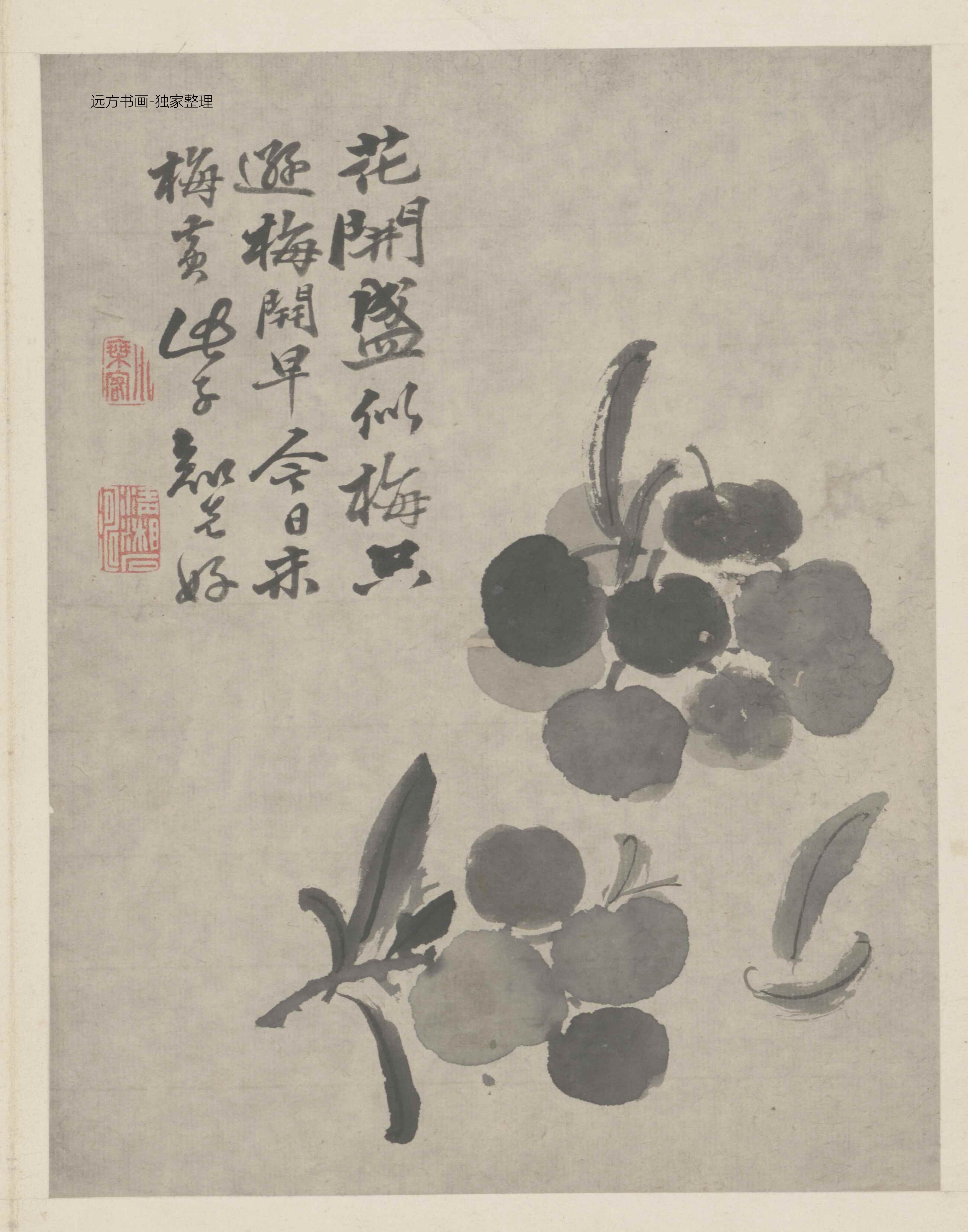 清朝代【石涛】《墨醉杂画图册12开》TIF高清大图中国画古画素材下载