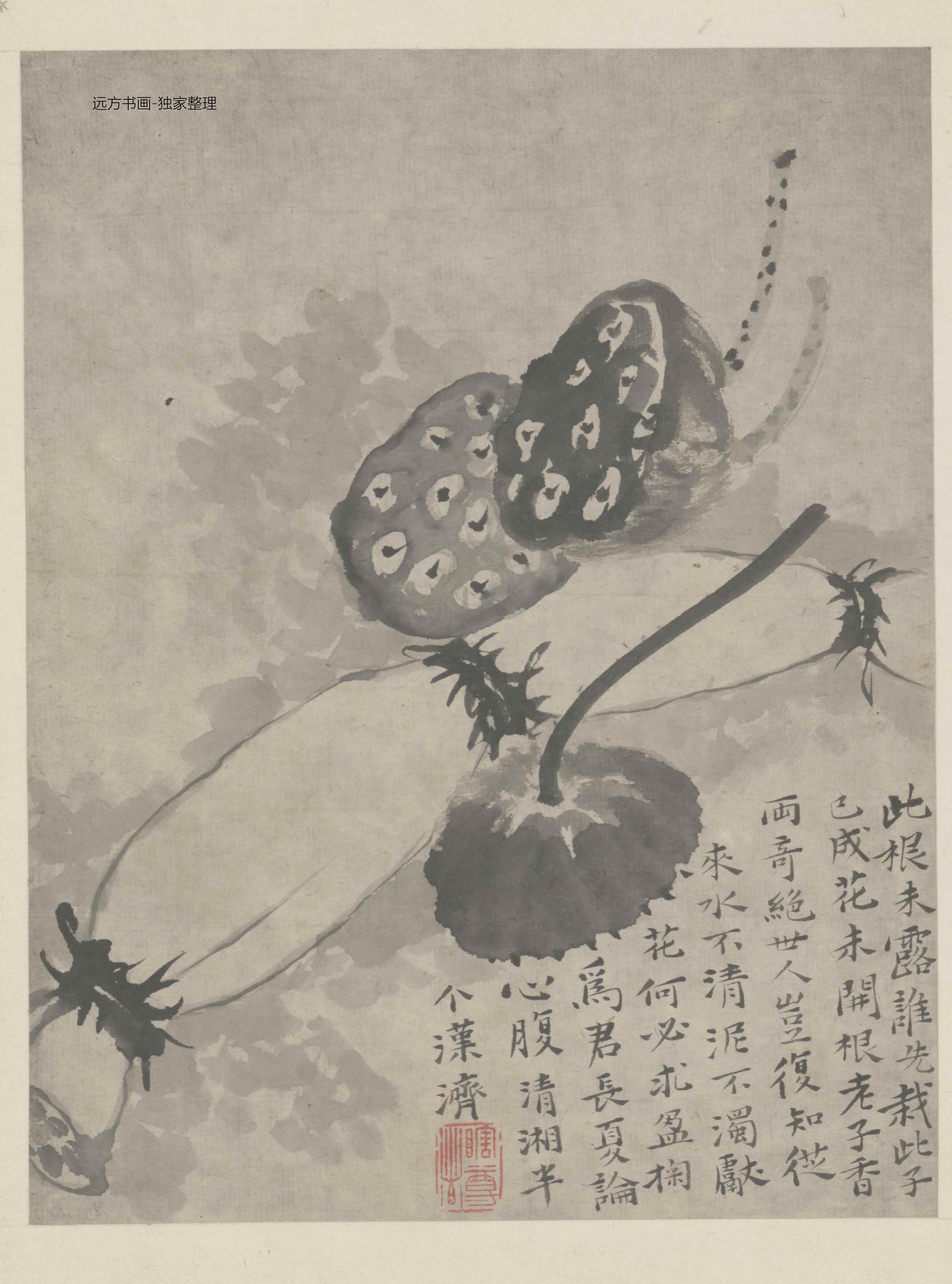 清朝代【石涛】《墨醉杂画图册12开》TIF高清大图中国画古画素材下载