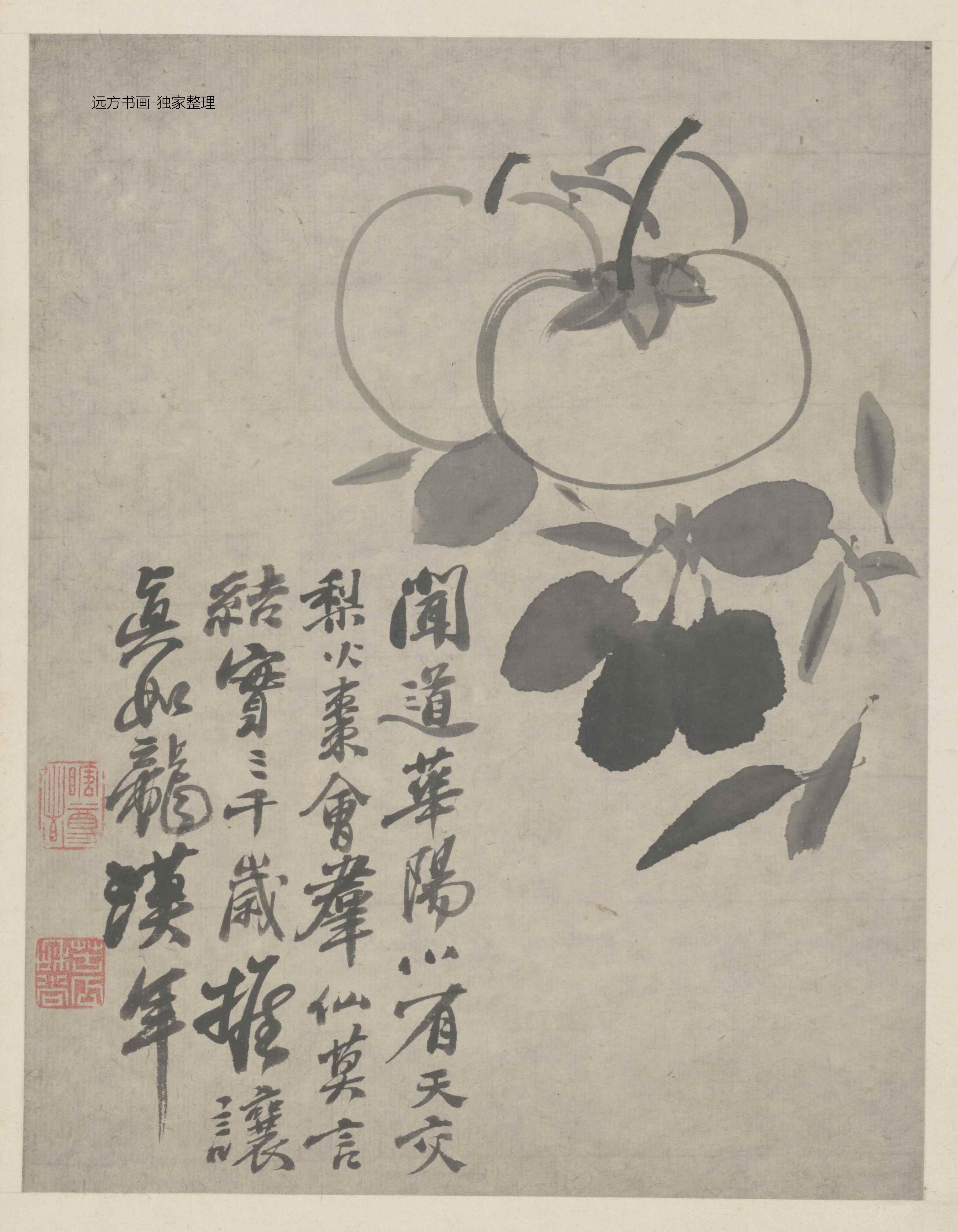 清朝代【石涛】《墨醉杂画图册12开》TIF高清大图中国画古画素材下载