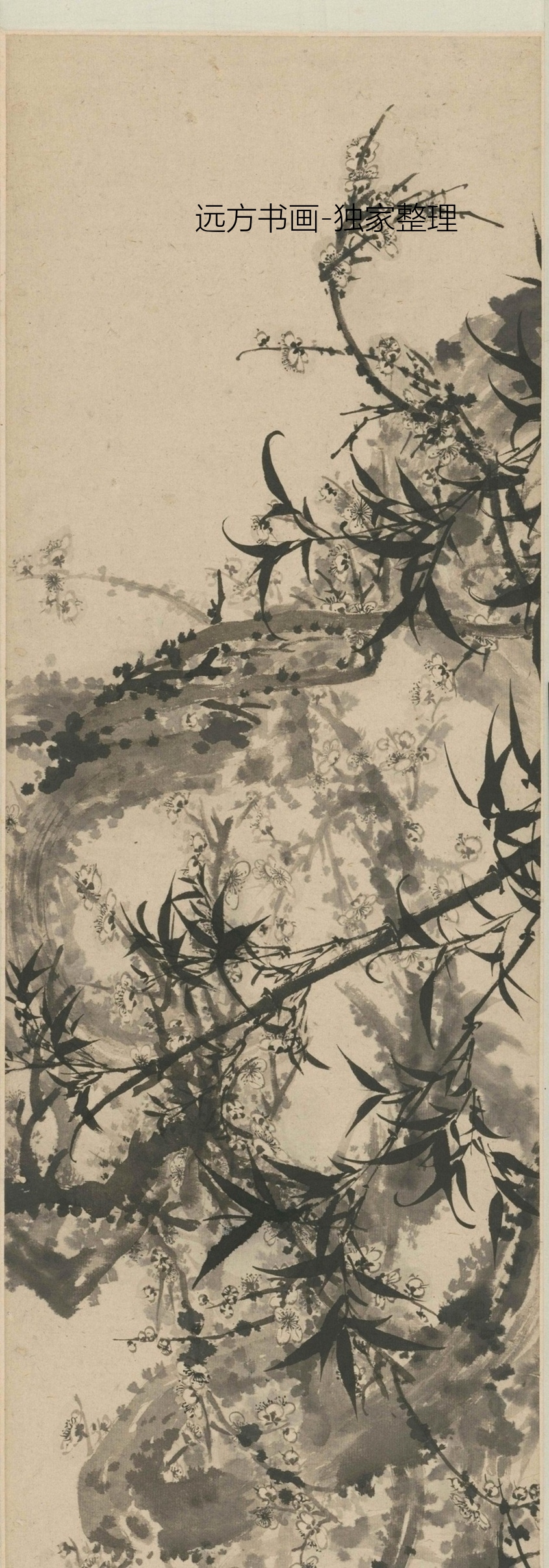 清朝代【石涛】《梅竹图卷》TIF高清大图中国画古画素材下载