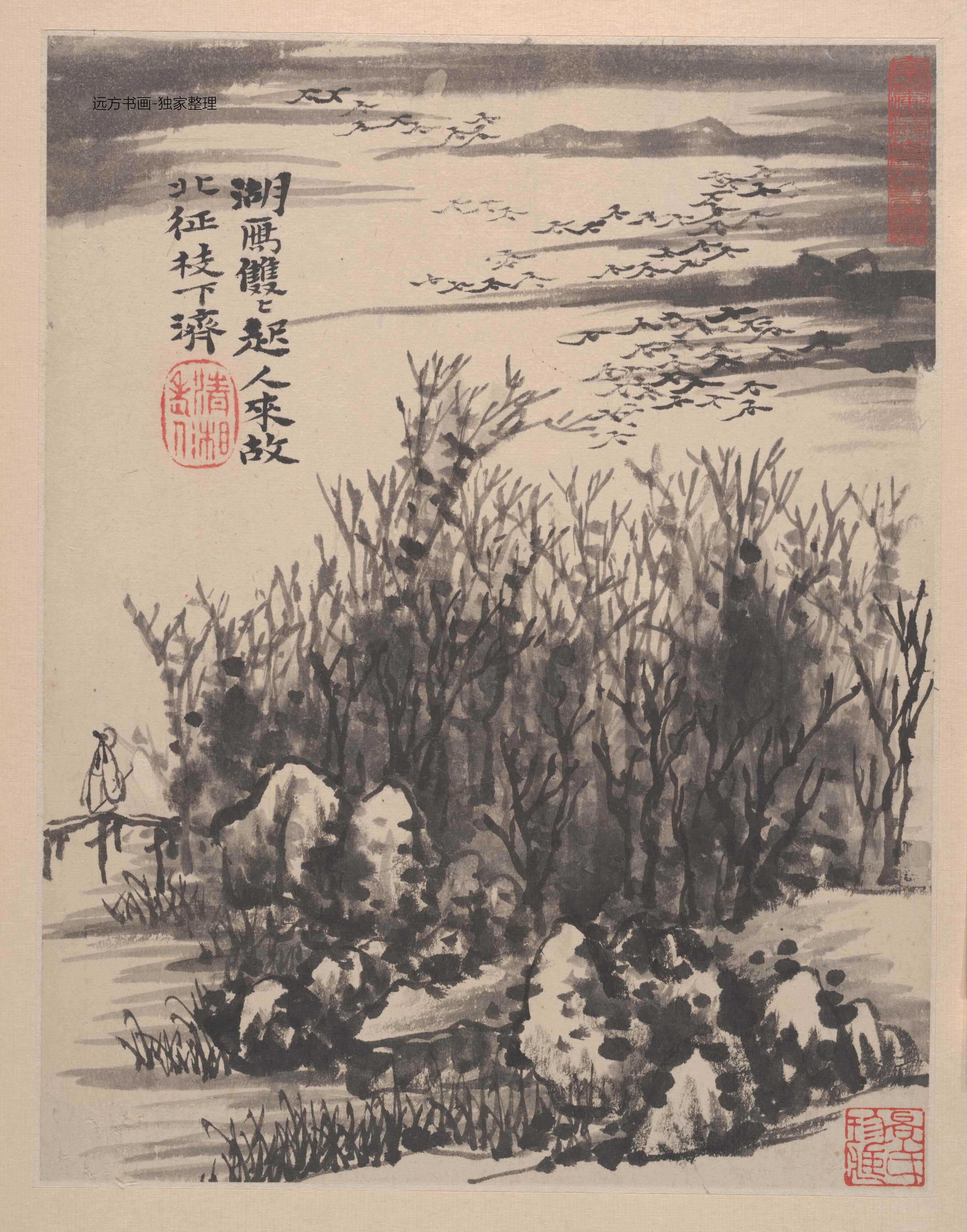 清朝代【石涛】《野色册页（12开）》TIF高清大图中国画古画素材下载
