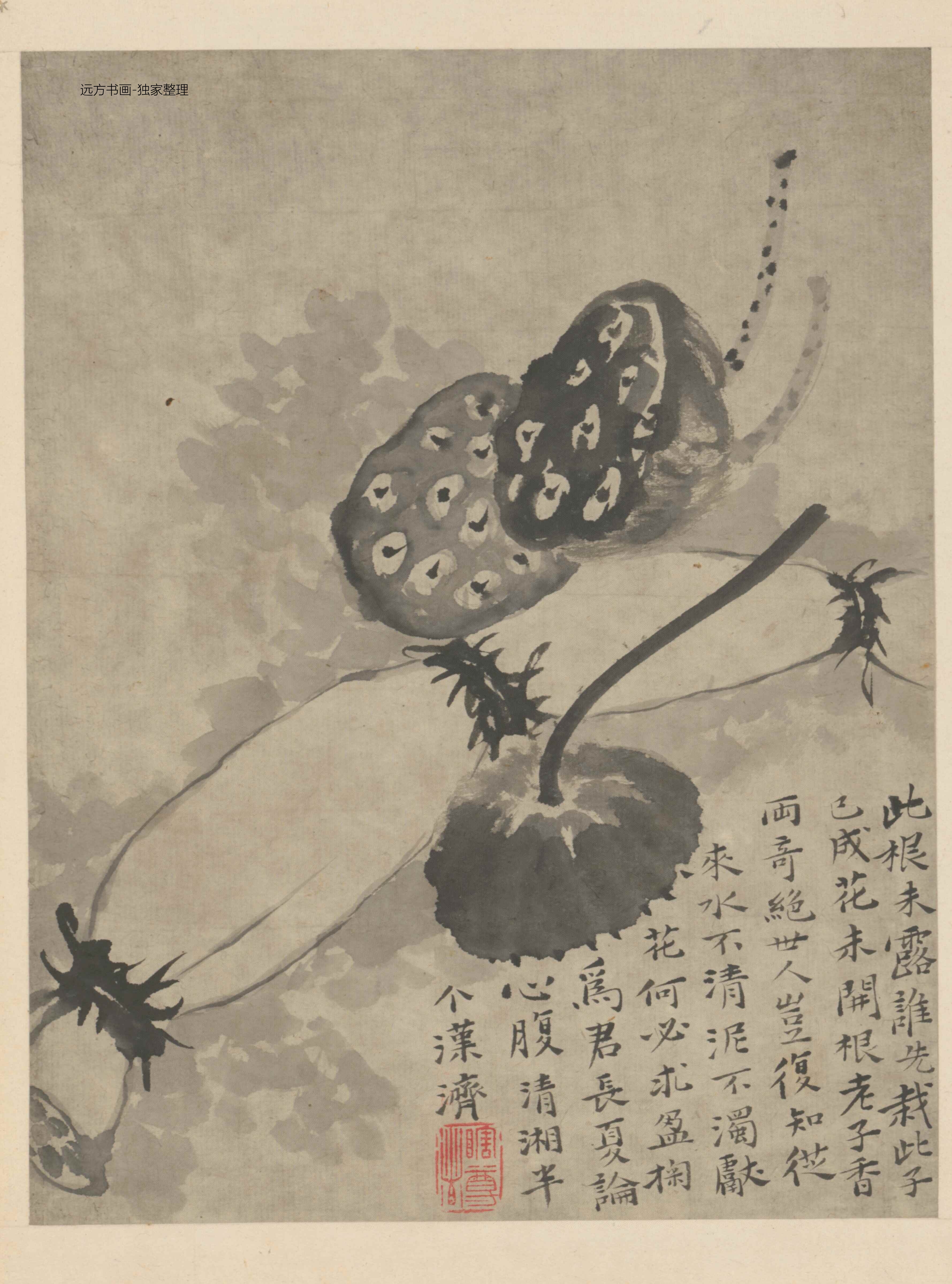 清朝代【石涛】《杂画图册（8开）》TIF高清大图中国画古画素材下载