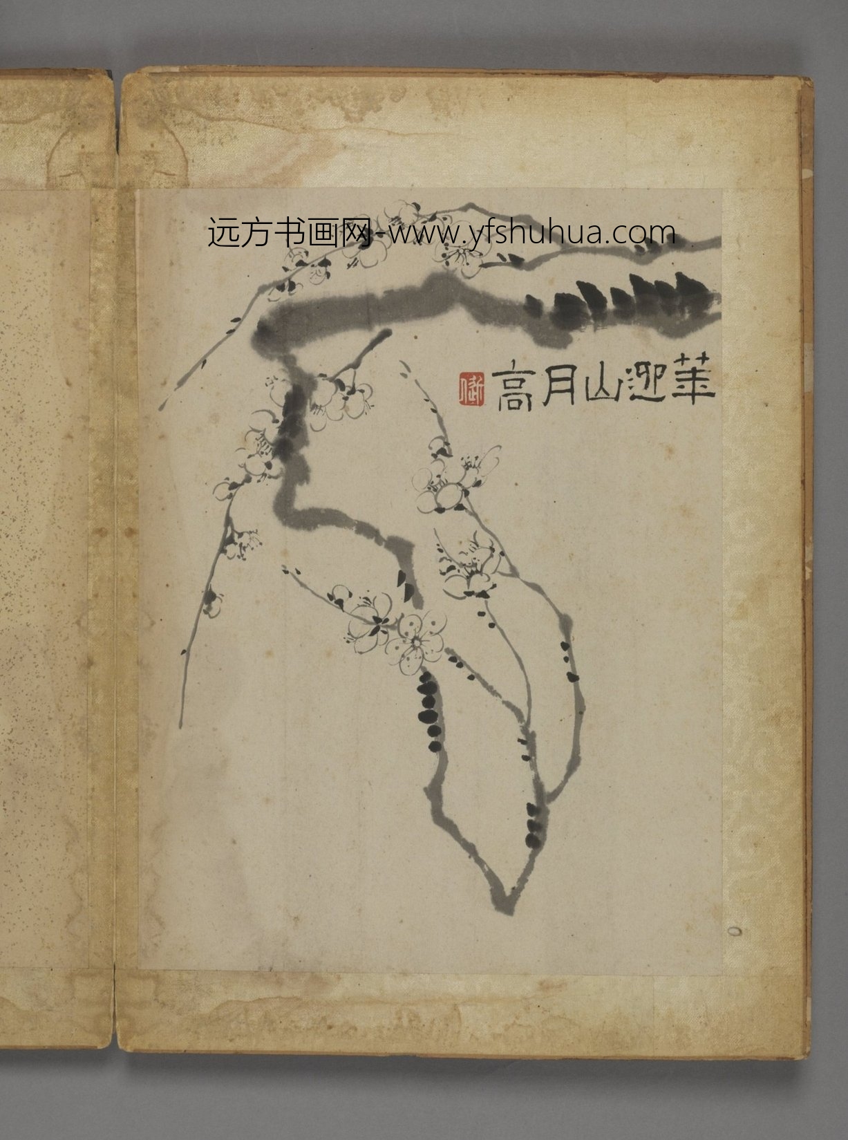 清朝代【汪士慎】《花卉册（12开）》故宫博物院TIF高清大图中国画古画素材下载