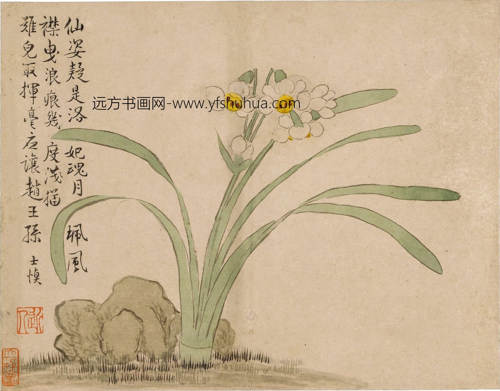 清朝代【汪士慎】《花卉图册12开》不详TIF高清大图中国画古画素材下载
