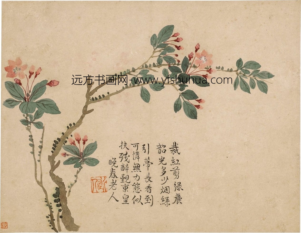 清朝代【汪士慎】《花卉图册12开》不详TIF高清大图中国画古画素材下载