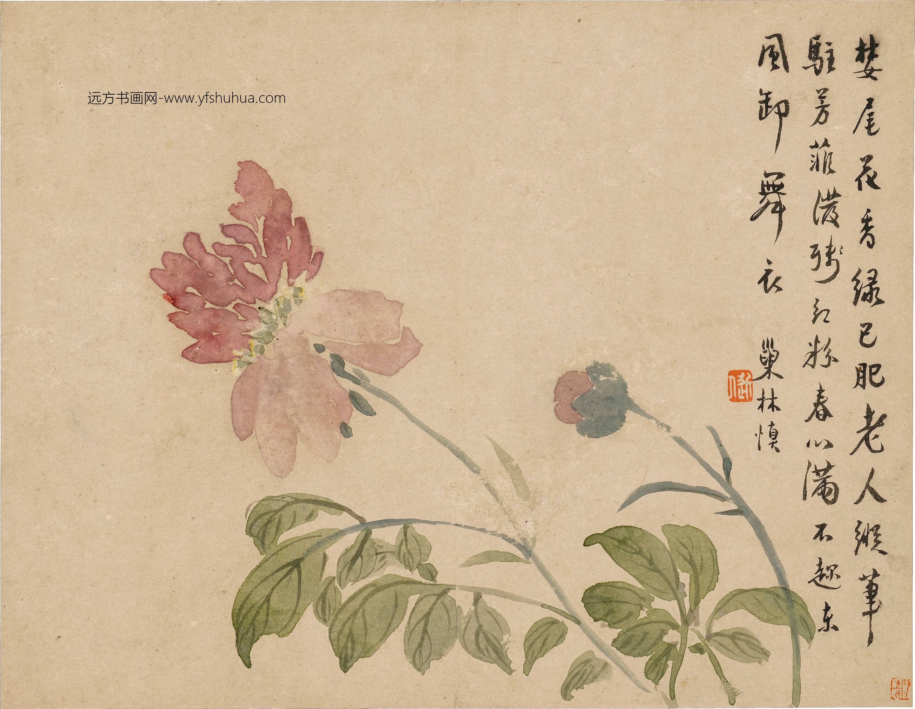 清朝代【汪士慎】《花卉图册12开》不详TIF高清大图中国画古画素材下载