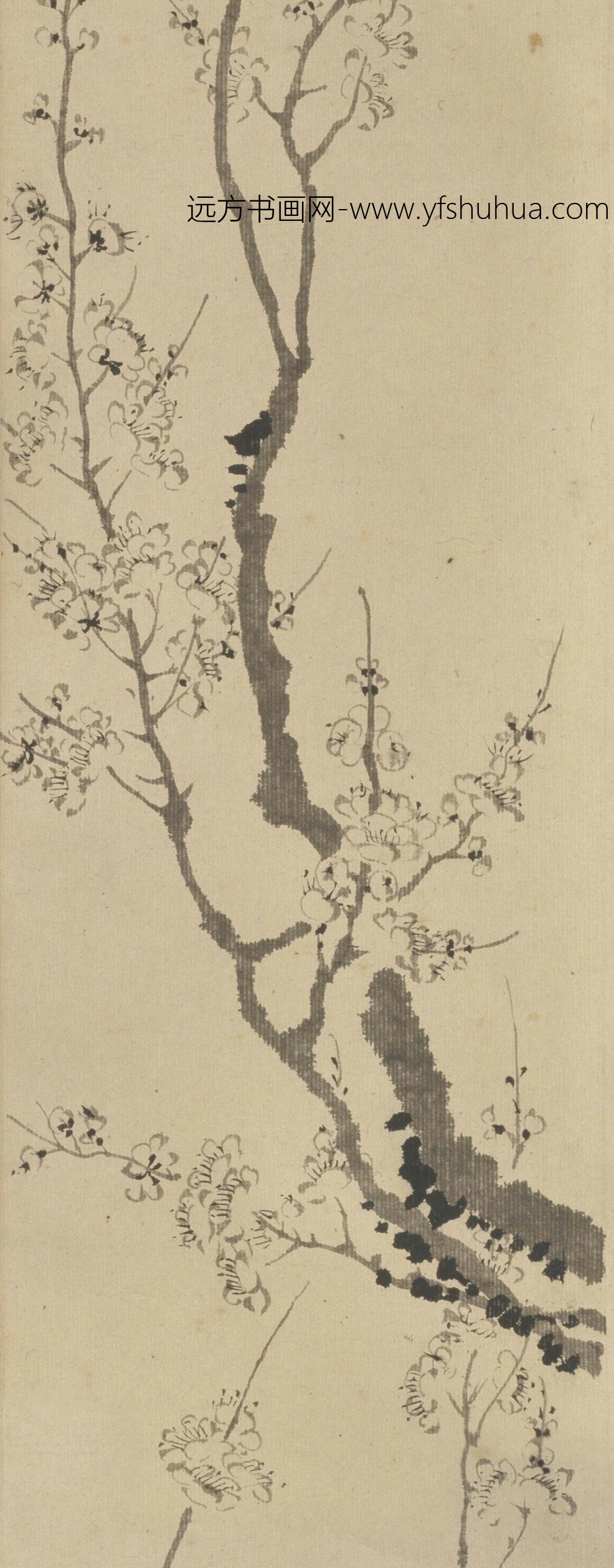 清朝代【汪士慎】《墨梅图卷》故宫博物院TIF高清大图中国画古画素材下载