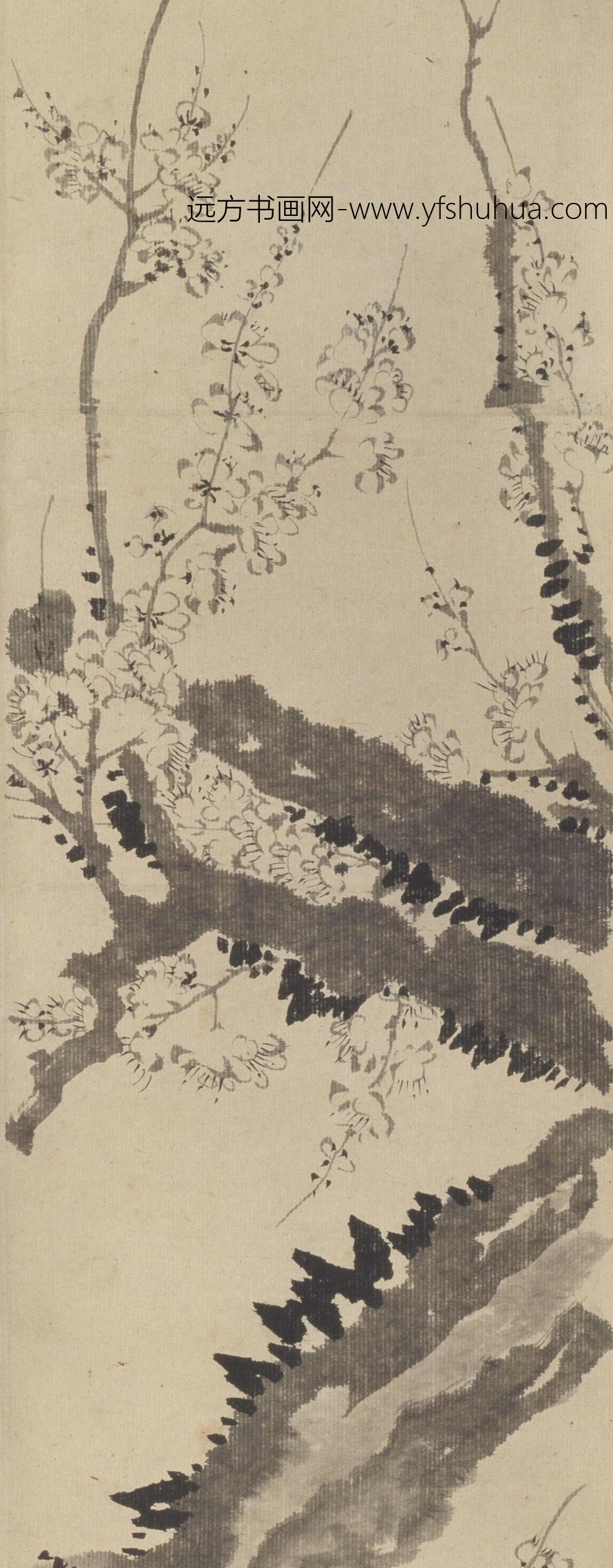 清朝代【汪士慎】《墨梅图卷》故宫博物院TIF高清大图中国画古画素材下载
