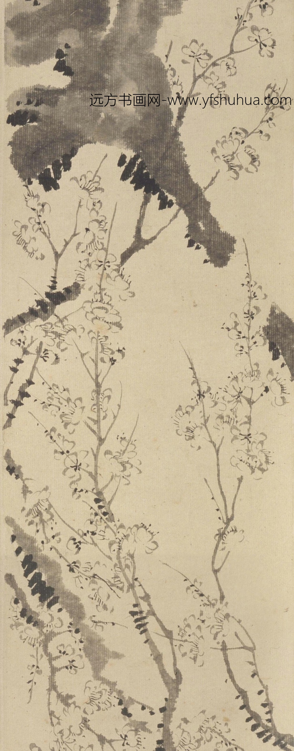 清朝代【汪士慎】《墨梅图卷》故宫博物院TIF高清大图中国画古画素材下载