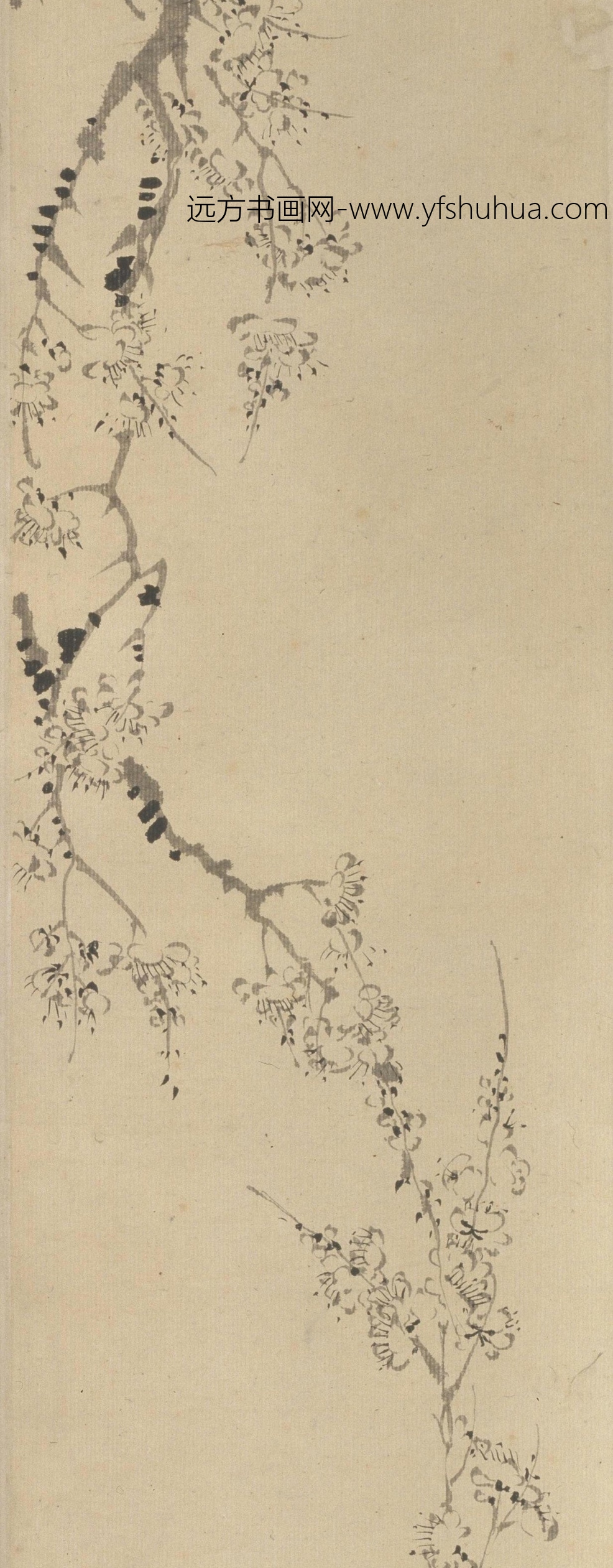 清朝代【汪士慎】《墨梅图卷》故宫博物院TIF高清大图中国画古画素材下载